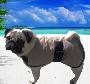 Pet Cool Coat size 36cm