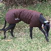Oilskin Dog Jacket - Onyx